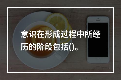 意识在形成过程中所经历的阶段包括()。