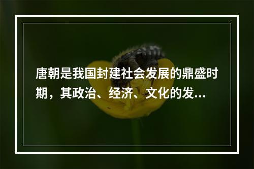 唐朝是我国封建社会发展的鼎盛时期，其政治、经济、文化的发展在