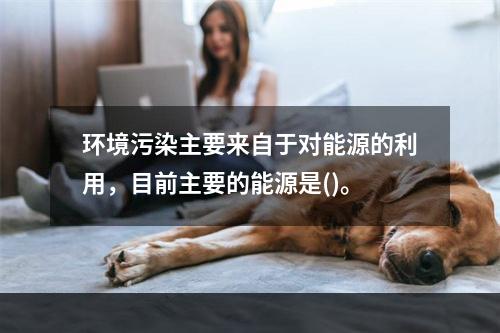 环境污染主要来自于对能源的利用，目前主要的能源是()。