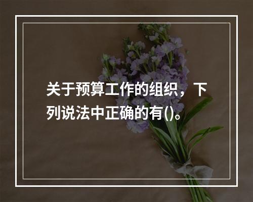 关于预算工作的组织，下列说法中正确的有()。