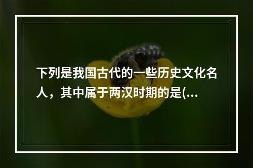 下列是我国古代的一些历史文化名人，其中属于两汉时期的是()。