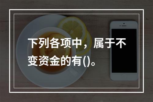 下列各项中，属于不变资金的有()。