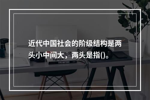 近代中国社会的阶级结构是两头小中间大，两头是指()。