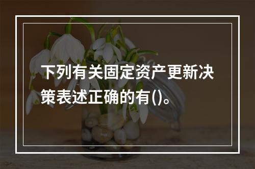 下列有关固定资产更新决策表述正确的有()。