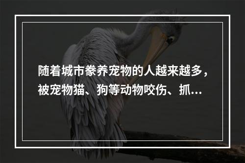 随着城市豢养宠物的人越来越多，被宠物猫、狗等动物咬伤、抓伤的