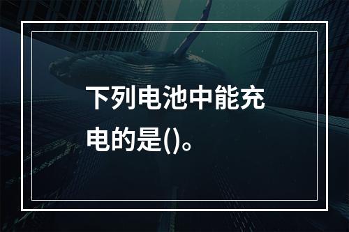 下列电池中能充电的是()。