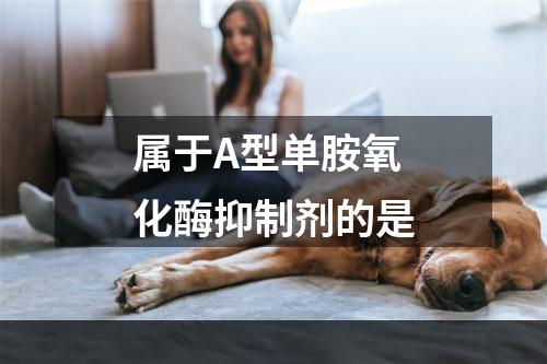 属于A型单胺氧化酶抑制剂的是