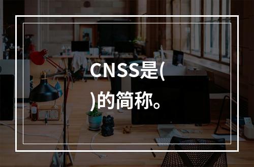 CNSS是()的简称。