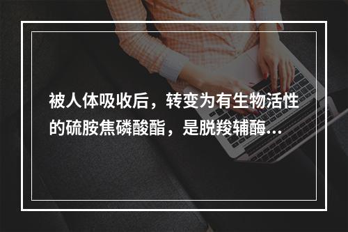 被人体吸收后，转变为有生物活性的硫胺焦磷酸酯，是脱羧辅酶的组