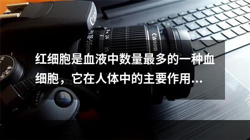 红细胞是血液中数量最多的一种血细胞，它在人体中的主要作用是