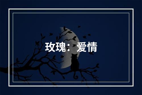 玫瑰：爱情