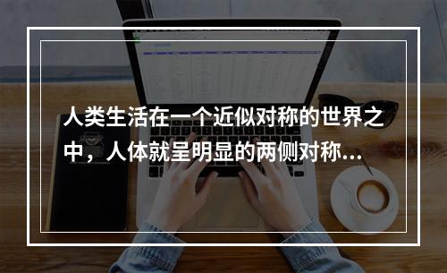 人类生活在一个近似对称的世界之中，人体就呈明显的两侧对称。