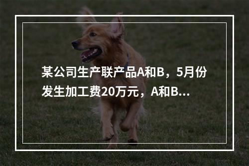 某公司生产联产品A和B，5月份发生加工费20万元，A和B在分