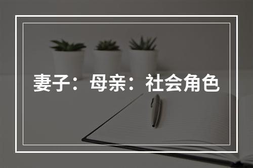 妻子：母亲：社会角色