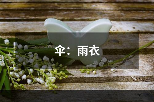 伞：雨衣