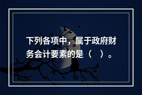 下列各项中，属于政府财务会计要素的是（　）。