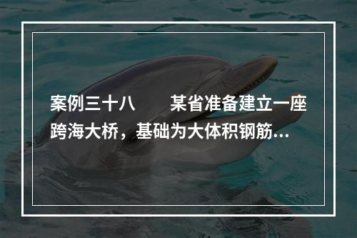 案例三十八　　某省准备建立一座跨海大桥，基础为大体积钢筋混凝