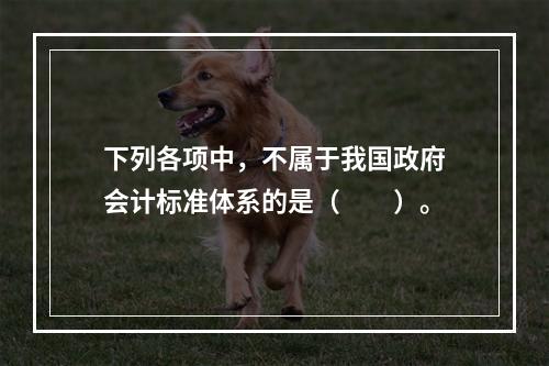 下列各项中，不属于我国政府会计标准体系的是（　　）。