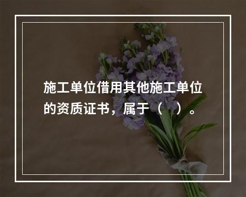 施工单位借用其他施工单位的资质证书，属于（　）。