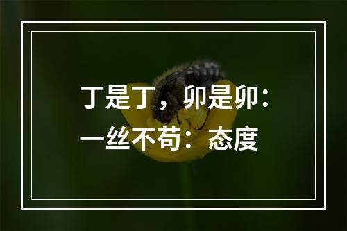 丁是丁，卯是卯：一丝不苟：态度