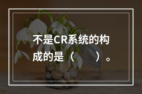 不是CR系统的构成的是（　　）。