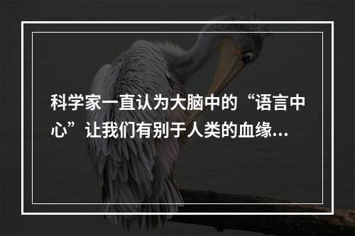 科学家一直认为大脑中的“语言中心”让我们有别于人类的血缘近