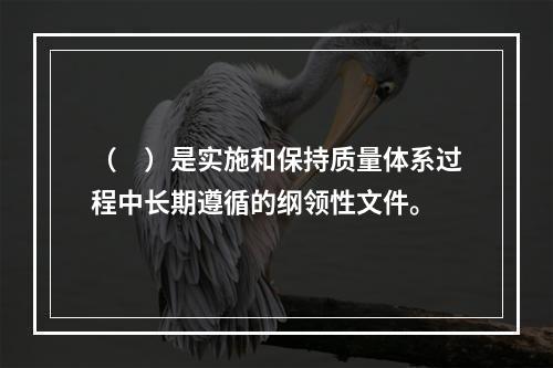 （　）是实施和保持质量体系过程中长期遵循的纲领性文件。