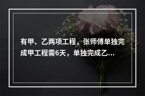 有甲、乙两项工程，张师傅单独完成甲工程需6天，单独完成乙工