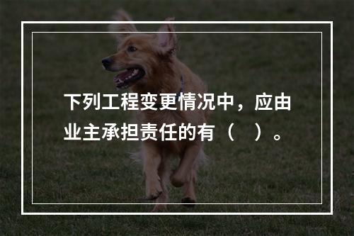 下列工程变更情况中，应由业主承担责任的有（　）。