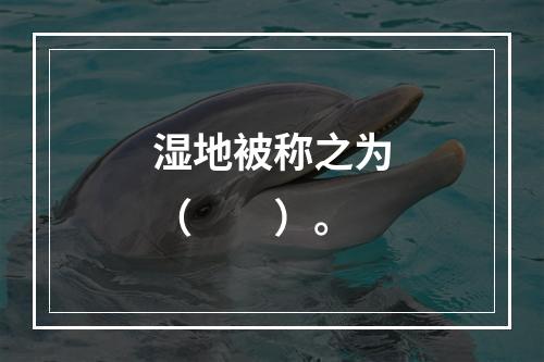 湿地被称之为（　　）。