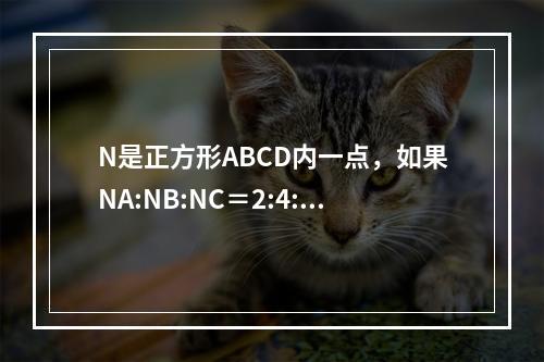 N是正方形ABCD内一点，如果NA:NB:NC＝2:4:6