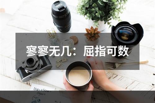 寥寥无几：屈指可数