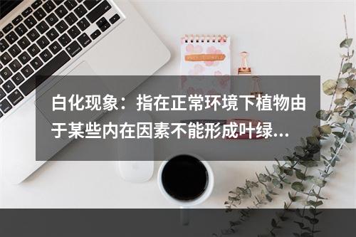 白化现象：指在正常环境下植物由于某些内在因素不能形成叶绿素