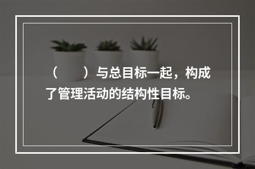 （　　）与总目标一起，构成了管理活动的结构性目标。