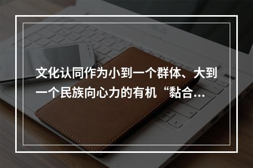 文化认同作为小到一个群体、大到一个民族向心力的有机“黏合剂