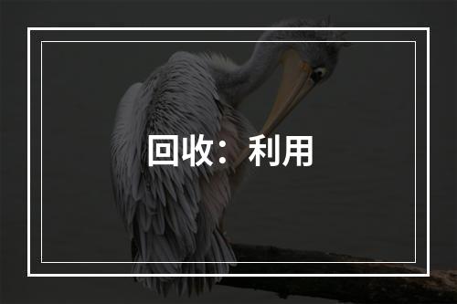 回收：利用