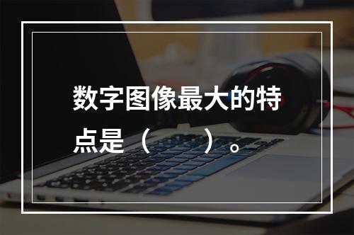 数字图像最大的特点是（　　）。