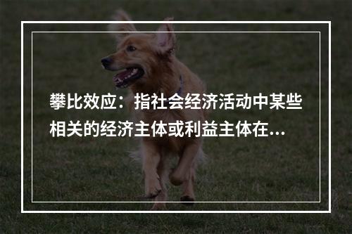 攀比效应：指社会经济活动中某些相关的经济主体或利益主体在分