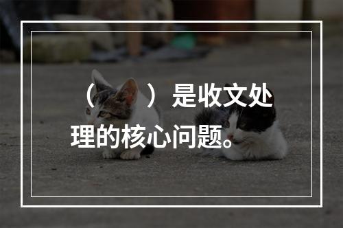 （　　）是收文处理的核心问题。