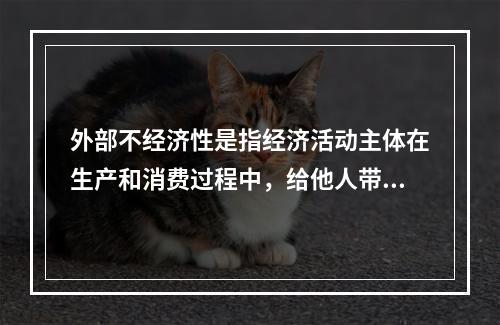 外部不经济性是指经济活动主体在生产和消费过程中，给他人带来