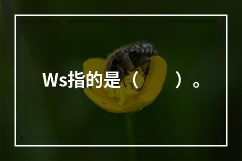 Ws指的是（　　）。