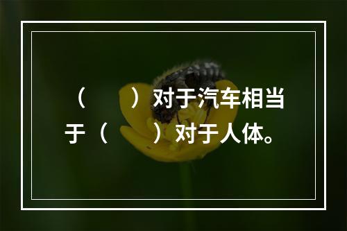 （　　）对于汽车相当于（　　）对于人体。