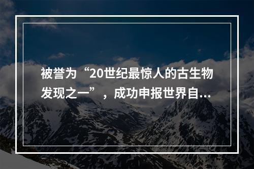 被誉为“20世纪最惊人的古生物发现之一”，成功申报世界自然