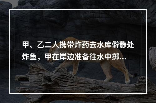 甲、乙二人携带炸药去水库僻静处炸鱼，甲在岸边准备往水中掷炸