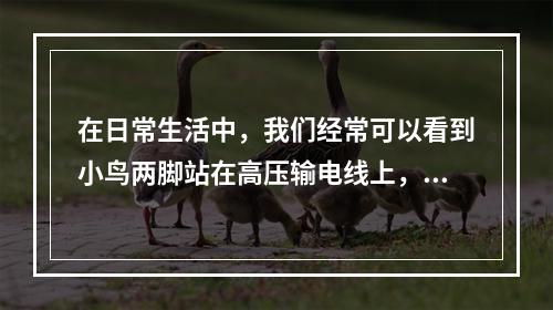 在日常生活中，我们经常可以看到小鸟两脚站在高压输电线上，高