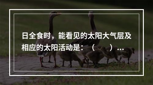 日全食时，能看见的太阳大气层及相应的太阳活动是：（　　）。