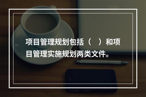 项目管理规划包括（　）和项目管理实施规划两类文件。