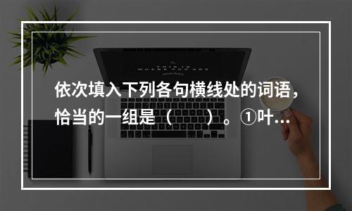 依次填入下列各句横线处的词语，恰当的一组是（　　）。①叶老