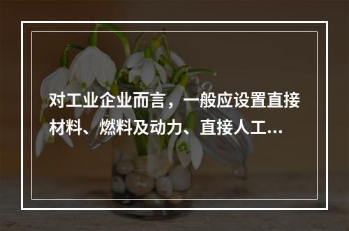 对工业企业而言，一般应设置直接材料、燃料及动力、直接人工、制