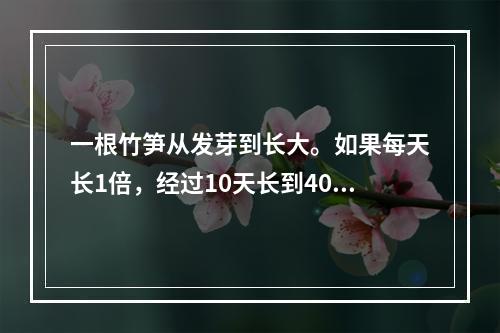 一根竹笋从发芽到长大。如果每天长1倍，经过10天长到40分